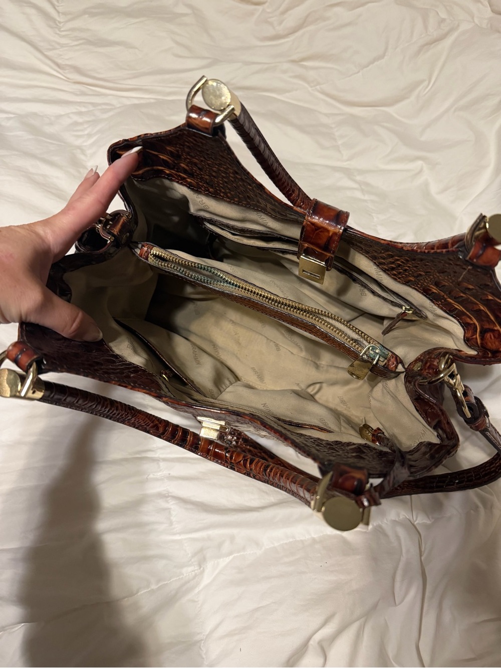 Brahmin - Picture 3 of 4
